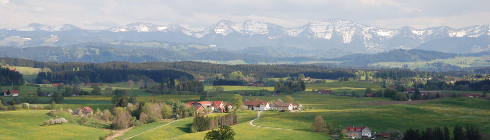 HAAS Holzbau - Zimmere, Treppenbau, Innenausbau